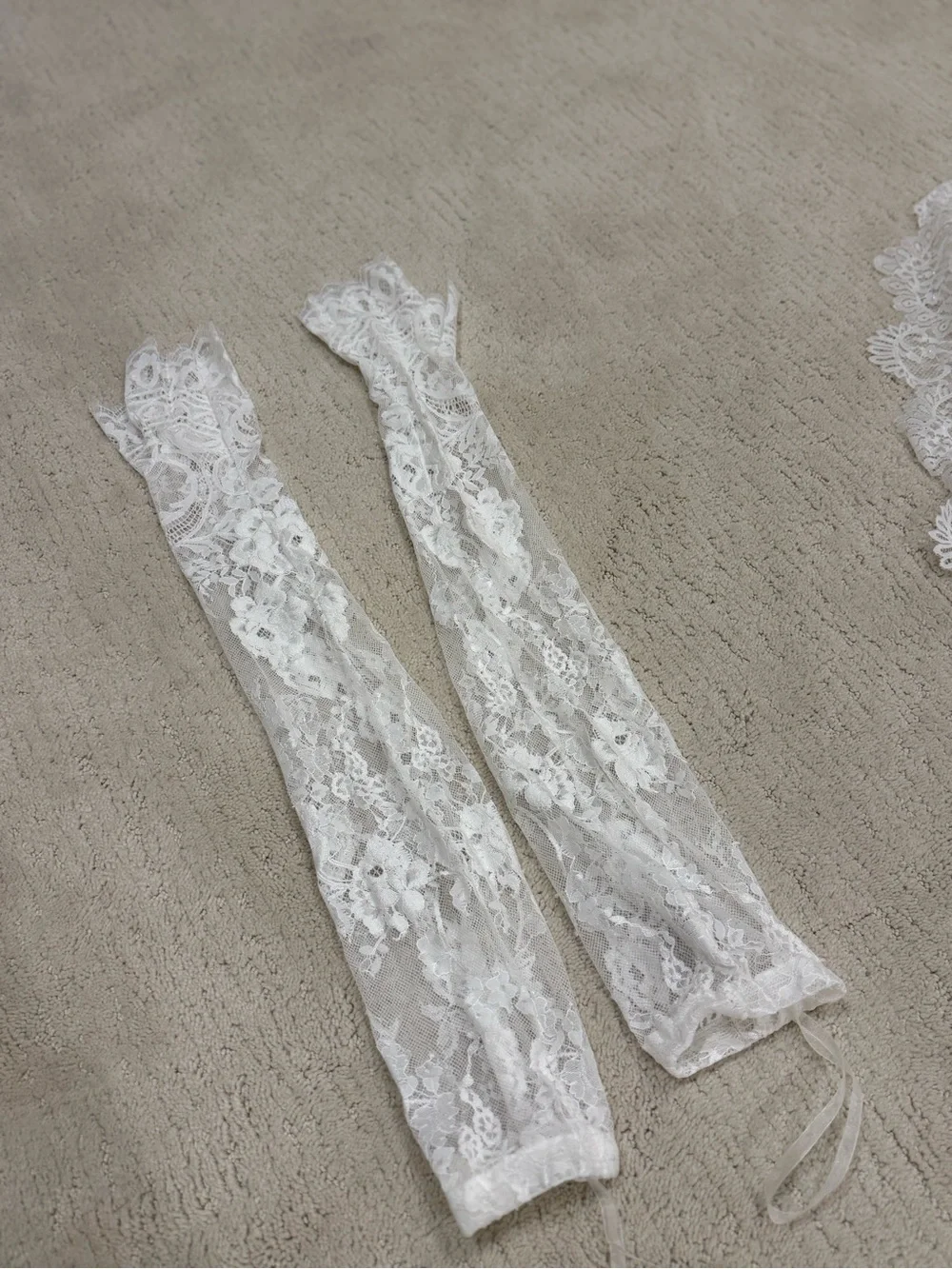 Pronovias White Wedding dress, cathedral veil & lace gloves